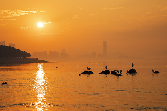 林明基《沐浴》.jpg