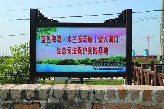 linsh2306063.jpg