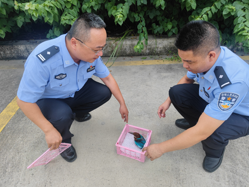 微信图片_20230720151348.jpg 微信图片_20230720151348.jpg
