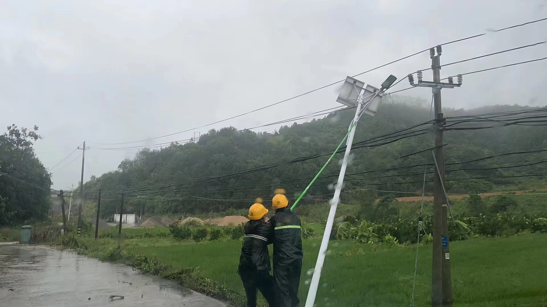 7月28日，因台风导致路灯杆和树木倒塌，造成10千伏黄龙线松岭分线故障，国网莆田供电公司白沙供电所工作人员正在现场清障！（俞燕群 朱清霞）.jpg