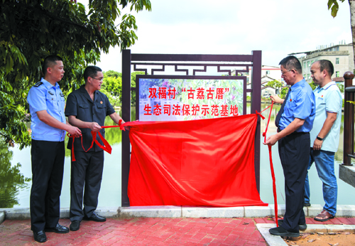 linsh2308152.jpg