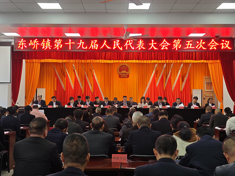 镇人大现场.jpg