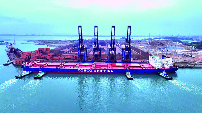 xqh2505093.jpg