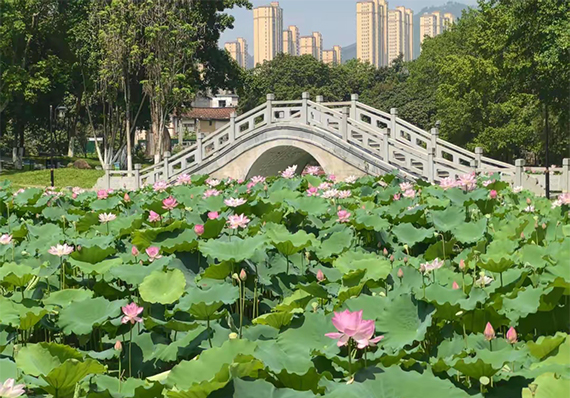 微信图片_20250626084659.jpg